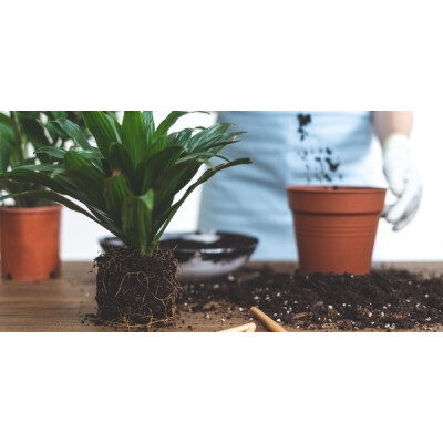 Unser Service - Der Palmenstadl - unser Service für Sie