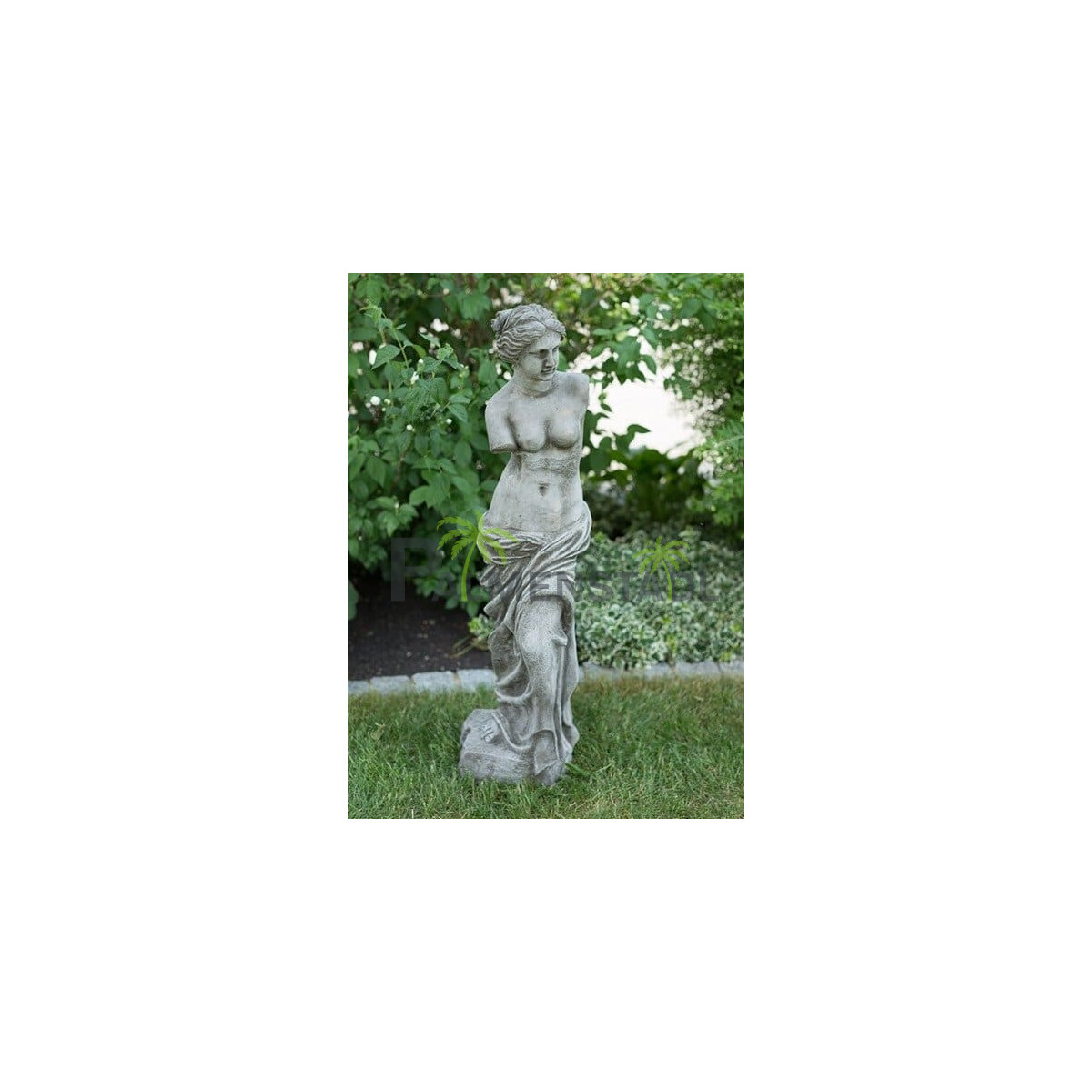 Statue Medium Venus - Antikstein