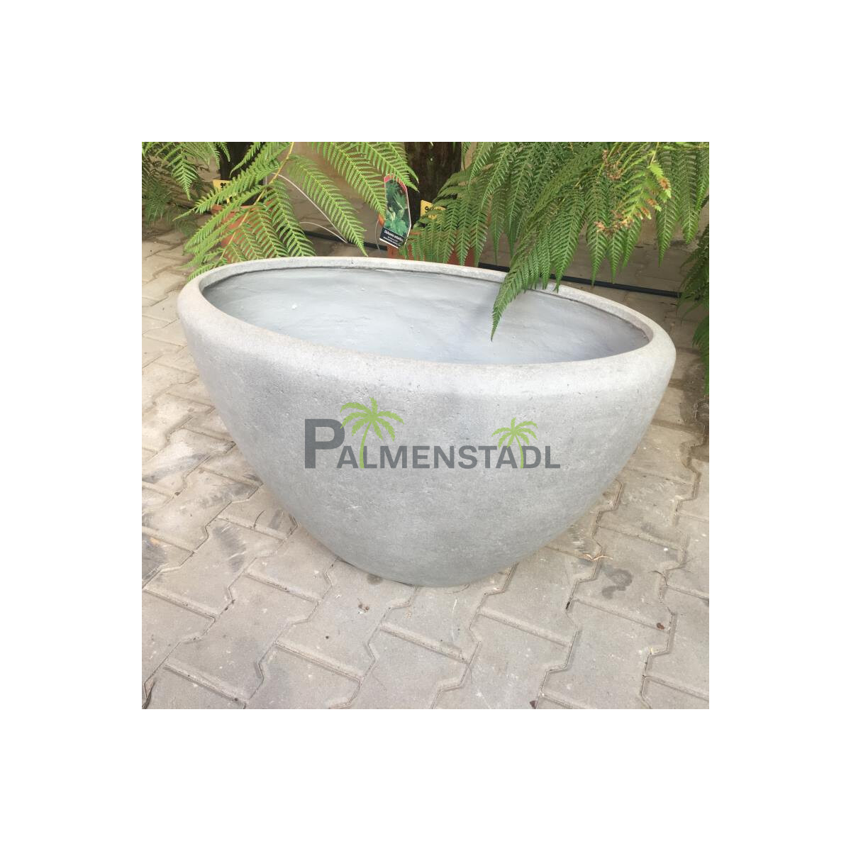 Creasto Pflanzschale oval- Betongrau