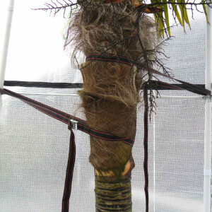 Winterschutzzelt Tropical Island M