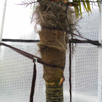 Winterschutzzelt Tropical Island M