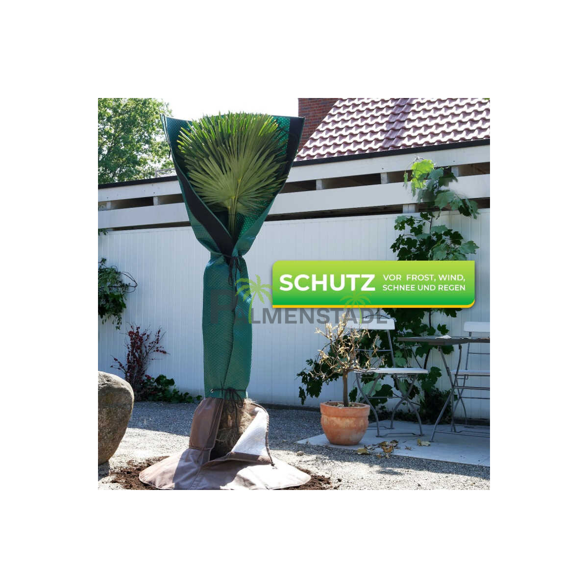 Palmen Stammschutz box