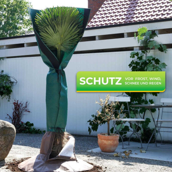 Palmen Stammschutz